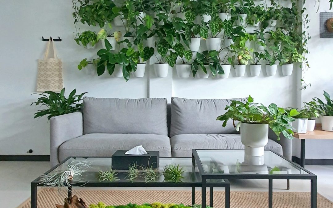 Phyto Suite Feature on ST Lifestyle
