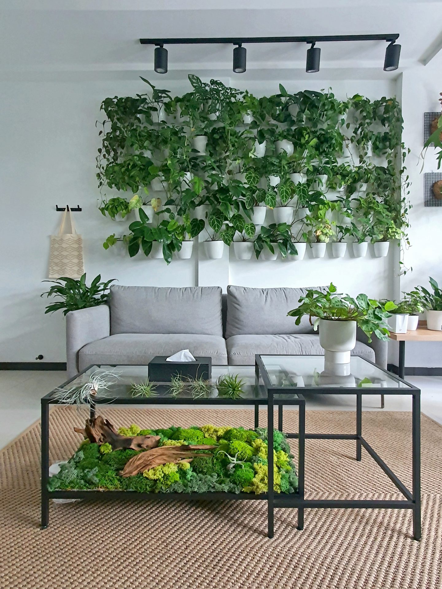 Phyto-Suite-Feature-on-ST-Lifestyle-1